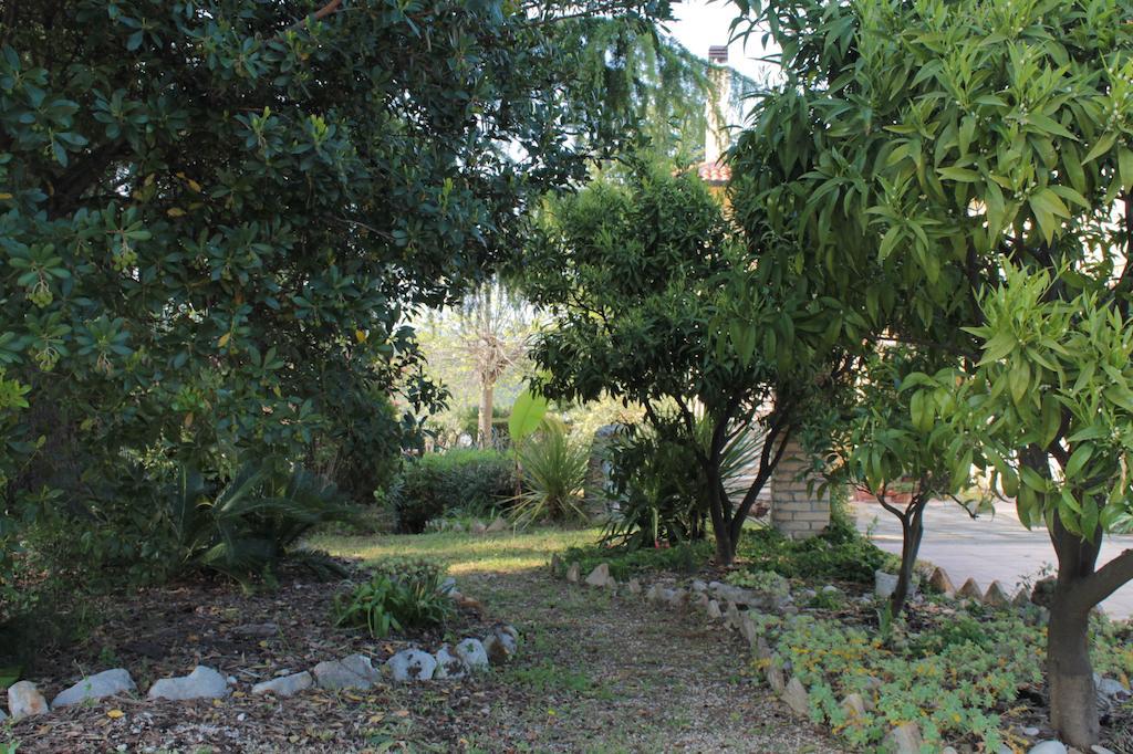 B&B Azzurra Pescara Exteriör bild