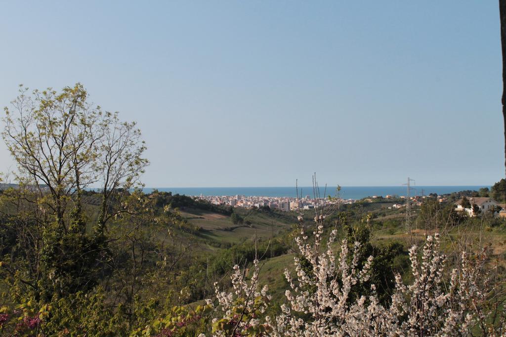 B&B Azzurra Pescara Exteriör bild