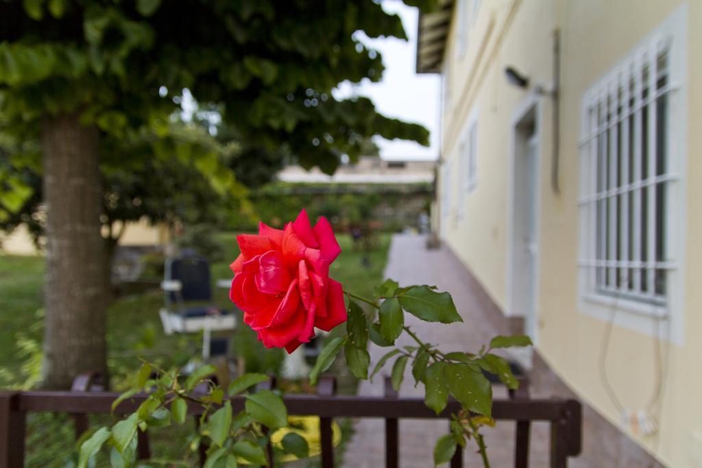 B&B Azzurra Pescara Exteriör bild